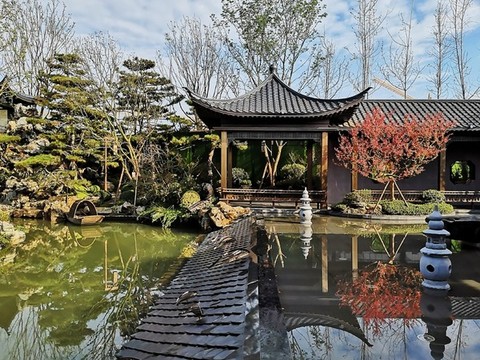 公園水景