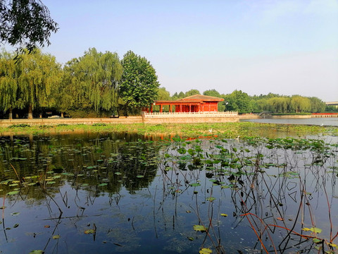石家莊中山公園