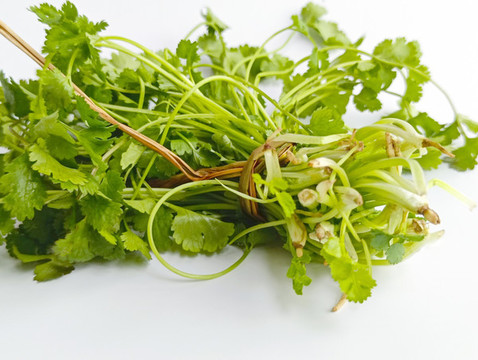 一捆香菜