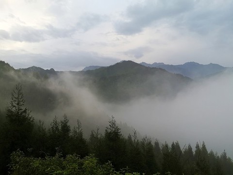 山區(qū)云霧