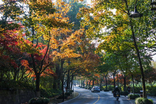秋景