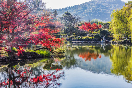 秋景