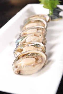鮑魚(yú)