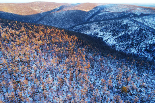 大興安嶺雪色山嶺樹林霧凇
