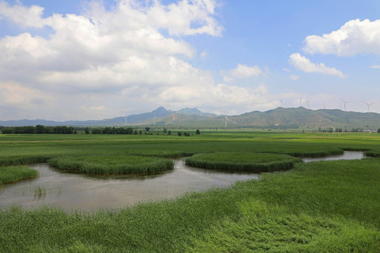 滹沱河孤山濕地