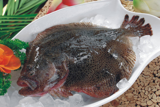多寶魚(yú)