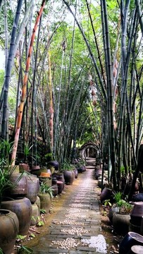 竹林小道