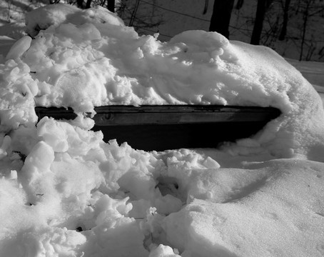 冬雪