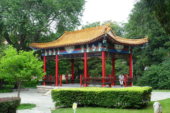 北戴河園林小亭綠植