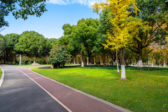 公園小道