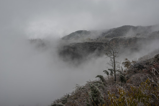 太行山云霧