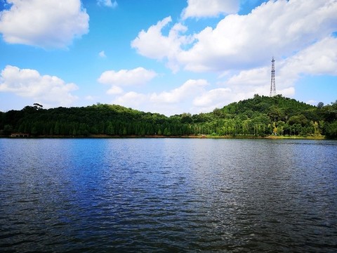 公園湖泊