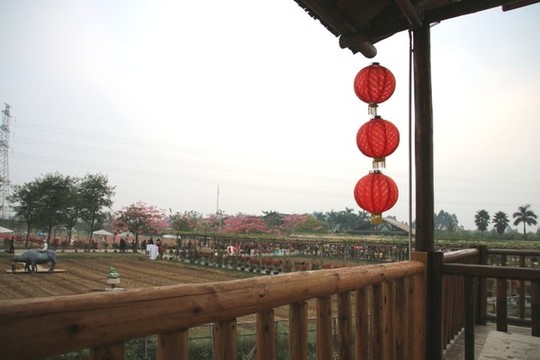 燈籠
