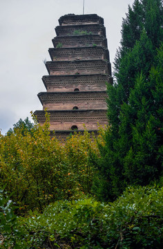 香積寺善導塔