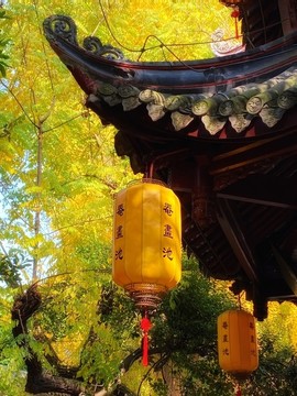 崇州奄畫(huà)池秋色