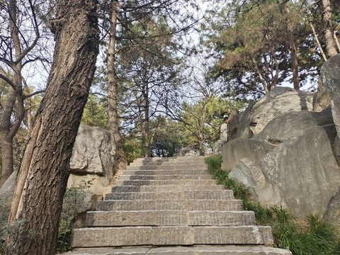 山林石階