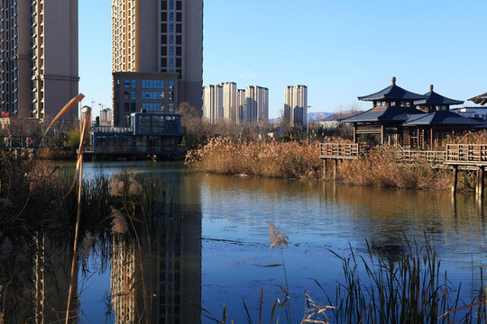 山海天濕地公園冬日風(fēng)光