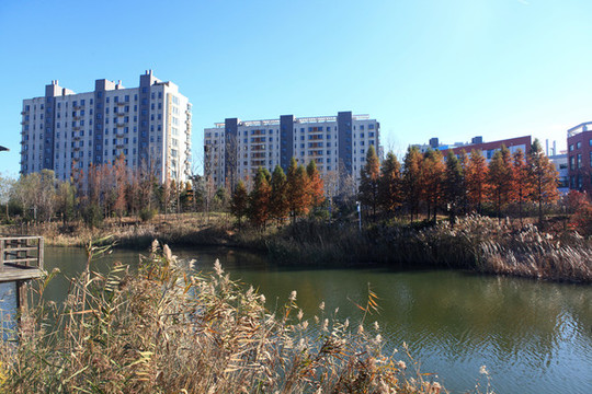 山海天濕地公園冬日風(fēng)光
