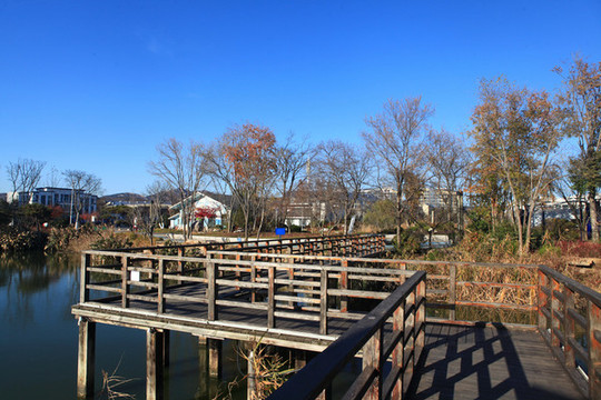 山海天濕地公園冬日風(fēng)光