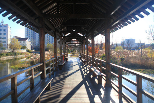 山海天濕地公園冬日風(fēng)光