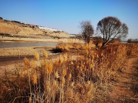 黃河冬天的景色