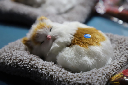 小貓工藝品