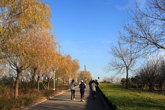 日照市奧林匹克水上運(yùn)動(dòng)公園風(fēng)光