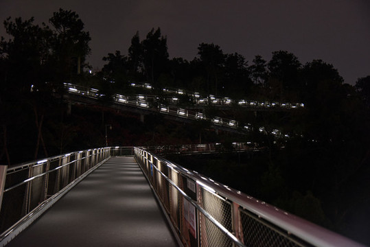 廈門(mén)山海健康步道狐尾山段夜景