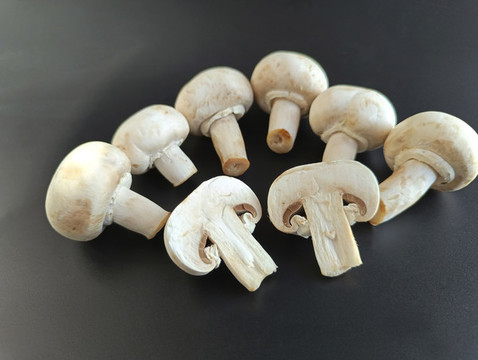 食材菌類蘑菇