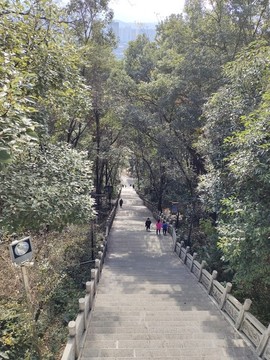 公園
