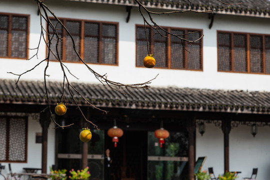 杭州西溪濕地洪園