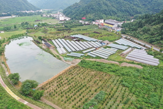 秋浦生態(tài)農(nóng)業(yè)