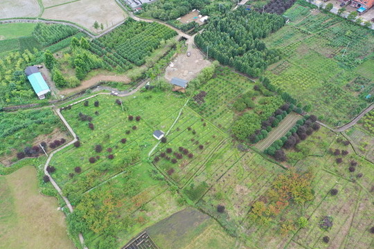 秋浦生態(tài)農(nóng)業(yè)園