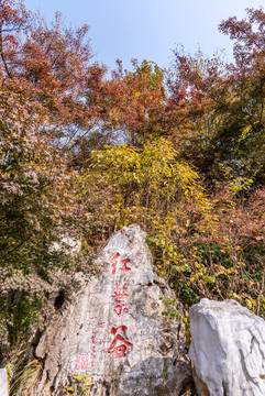 秋天中國南京棲霞山的紅葉谷秋景