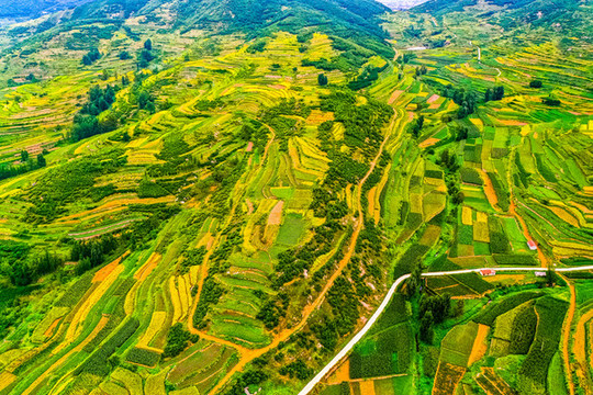 綠色背景