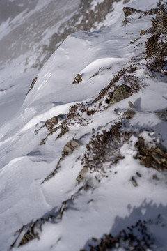 冬季雪地