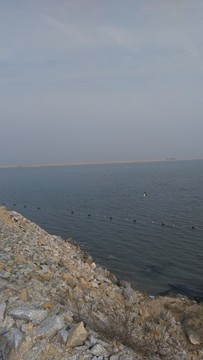 海參養(yǎng)殖圍圈圍壩