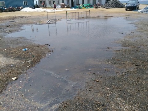 度假村海邊小木屋