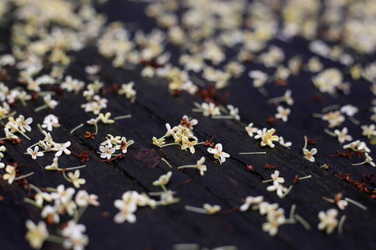 桂花