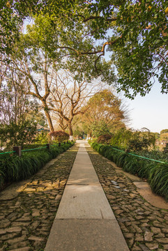 公園游步道