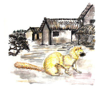 黃鼠狼