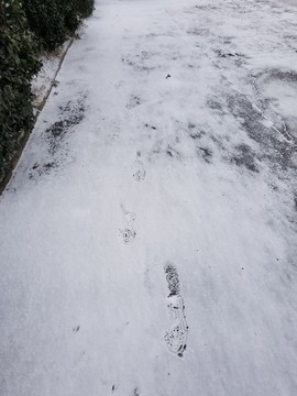 雪地足跡
