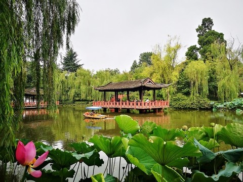 公園水景