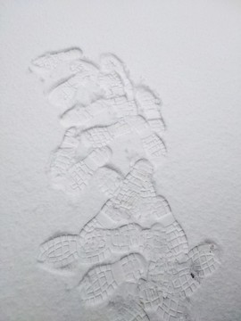 雪地里的腳印