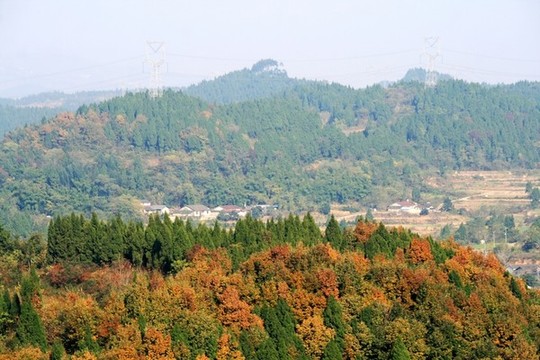 鄉(xiāng)村秋色