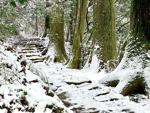 西天目雪景