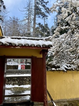 西天目雪景