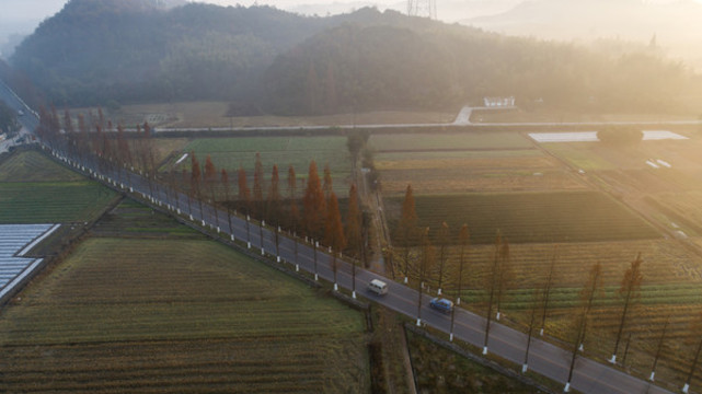 鄉(xiāng)村公路