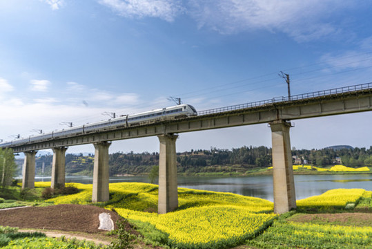 希望的田野