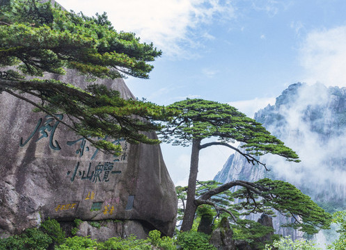 黃山迎客松